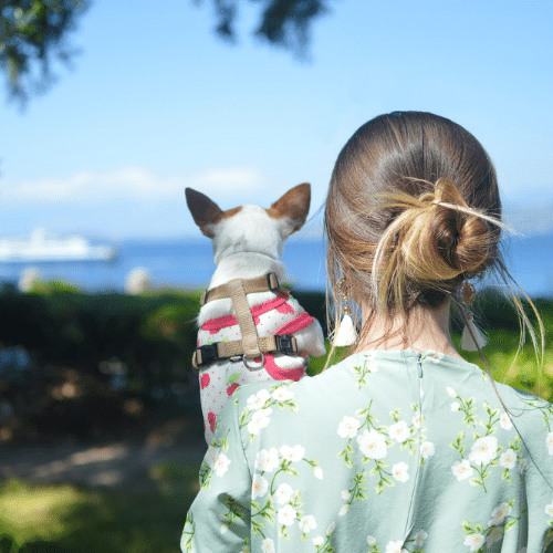 Spring Into Style with Flowery Tops